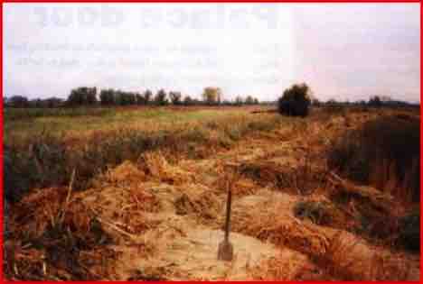 Holding the Water, Waternet Epping